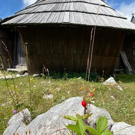 Korosica Velika Planina * Stahovica