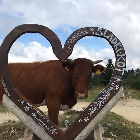 Korosica Velika Planina *