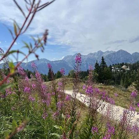 Korosica Velika Planina Stahovica