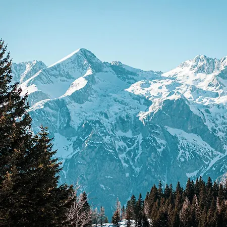 Сasa de vacaciones Korosica Velika Planina *