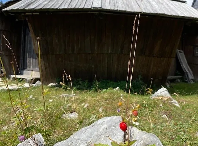 Korosica Velika Planina * Stahovica