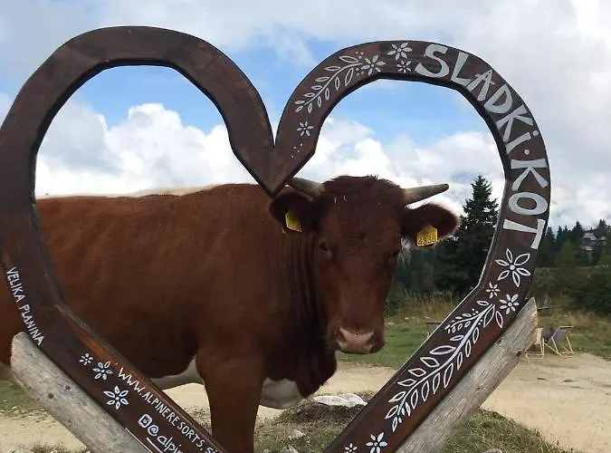 Korosica Velika Planina *