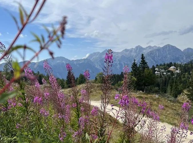 Korosica Velika Planina Stahovica