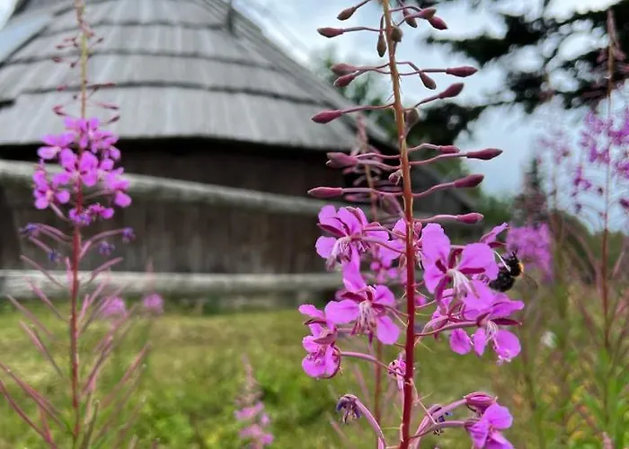 Korosica Velika Planina *